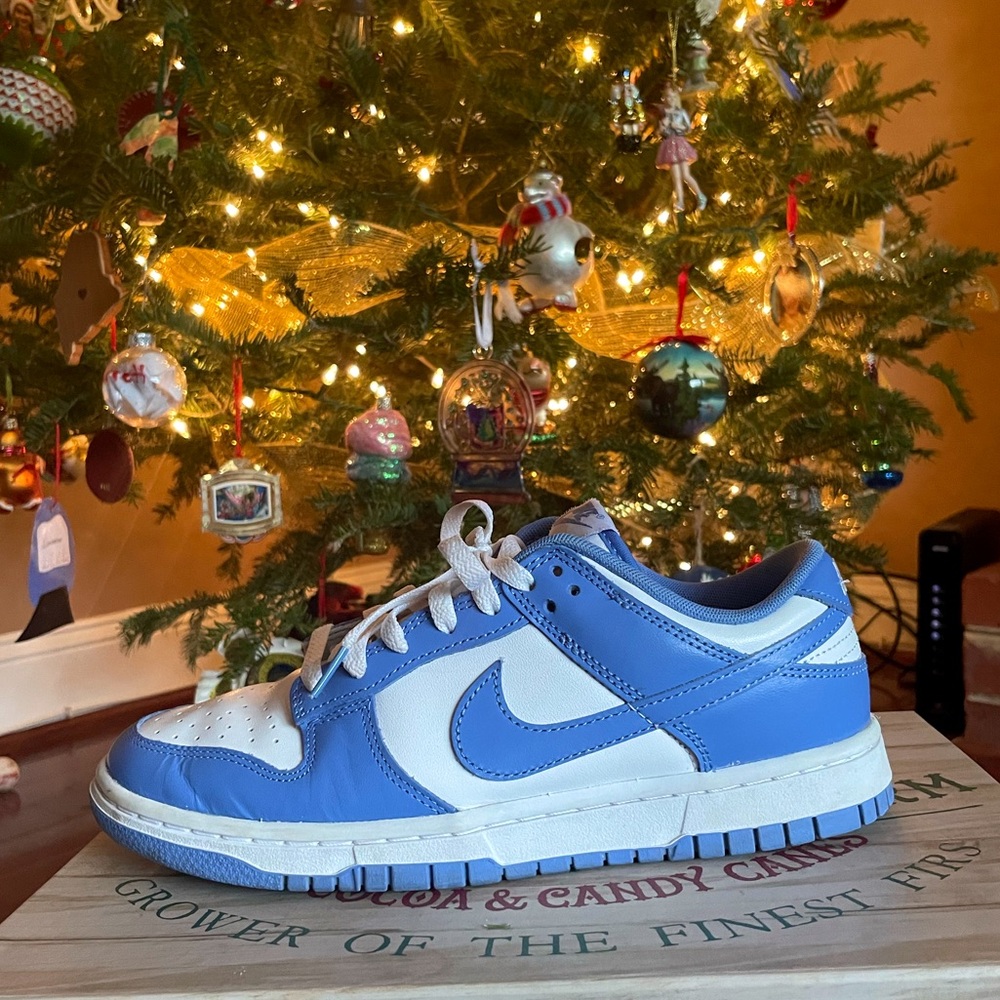 Women’s Nike Dunk Low Retro